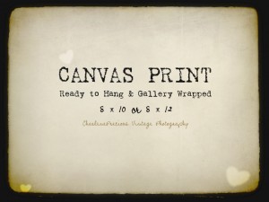 canvasprint8x10