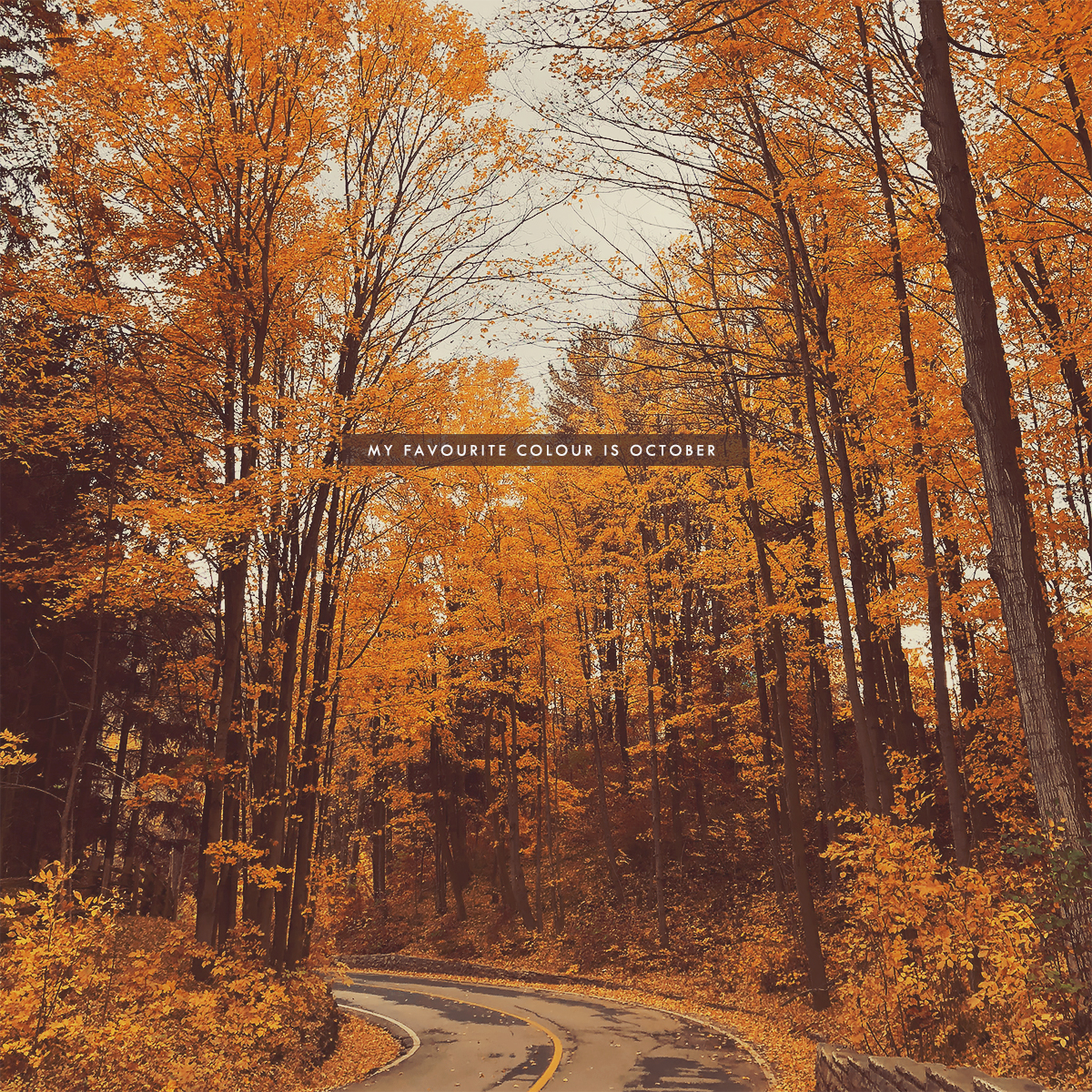 10.14.18
