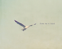 Free as a Bird