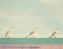 Three Little Birds