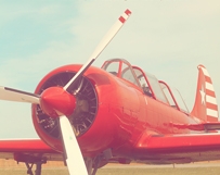 Red & Rad Plane