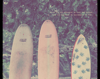 Pretty Surfboards